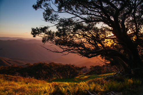 The view at sunset from the summit of Mt Buller over Little Buller Spur in Victorian High Country - Australian Stock Image