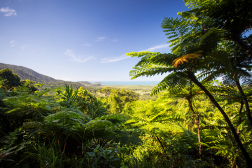 The view from Mount Alexandra lookout in the Daintree region towards the Great Barrier Reef and Cora - Australian Stock Image