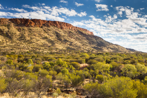 The view over bush land towards Mount Gillen near Alice Springs, Northern Territory, Australia - Australian Stock Image