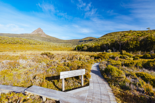 The wide landscape views early in the morning of Barn Bluff and alpine heath plants - Australian Stock Image