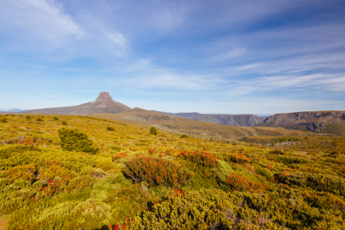 The wide landscape views early in the morning of Barn Bluff and alpine heath plants - Australian Stock Image