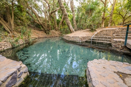 Thermal pool at Katherine hot springs