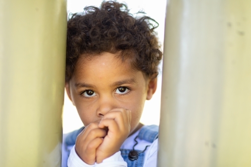 toddler sucking thumb and looking through gap - Australian Stock Image