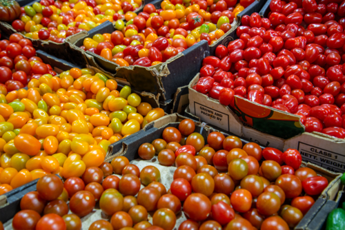 Tomatoes at Adelaide Central Market - Australian Stock Image