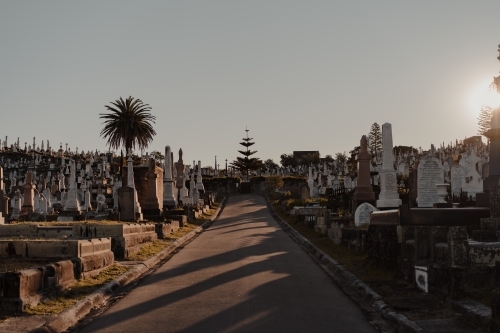 Tombstones either side of the road through Waverley Cemetery at sunset. - Australian Stock Image