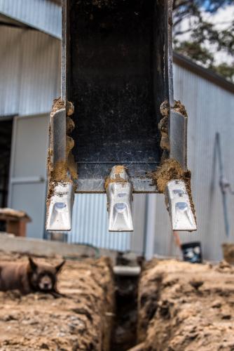 Toothed excavator bucked above trench with brown dog sleeping in background - Australian Stock Image