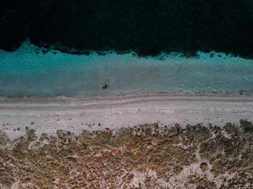 top shot of a beach with a person paddling, seaweeds, rocks, waves and bushes - Australian Stock Image