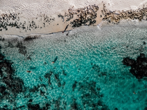 top view shot of a beach with clear waters, seaweeds and small waves - Australian Stock Image