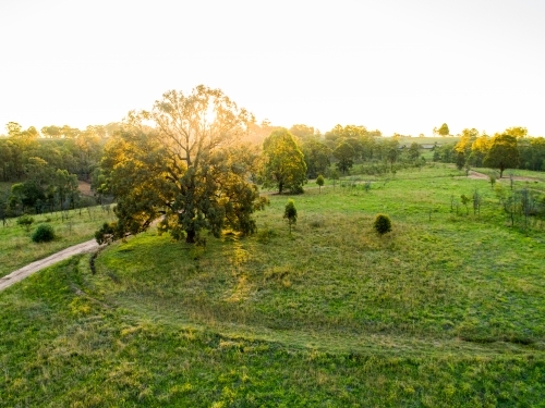 Track through green paddock towards the sunset - Australian Stock Image