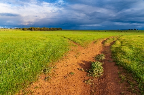 Tracks heading off into the distance through a lush green paddock under dark clouds - Australian Stock Image