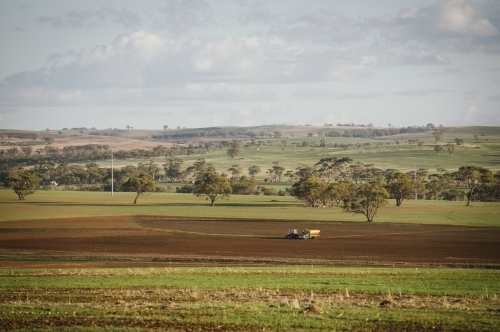 Tractor and truck in paddock at seeding in the Avon Valley region of Western Australia - Australian Stock Image