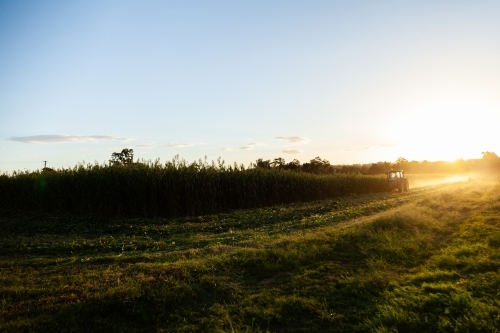 Tractor in farm crop paddock at sunset - Australian Stock Image