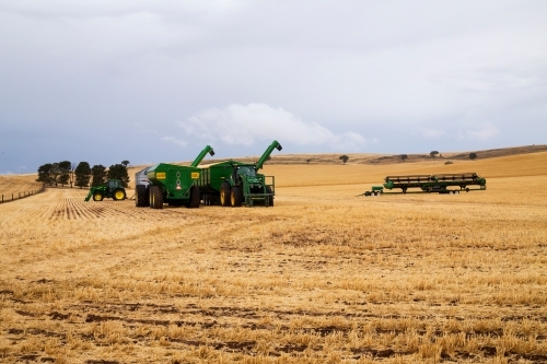 tractors and bins in paddock at harvest - Australian Stock Image