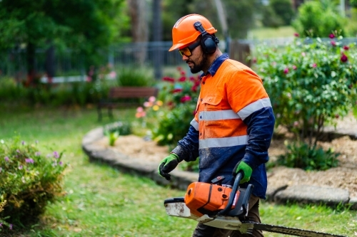 Tradie workman with chainsaw in garden - Australian Stock Image