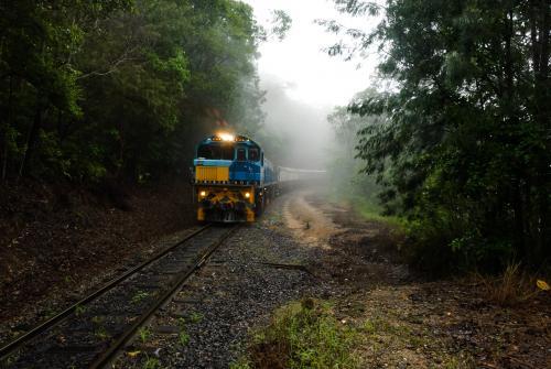 Train coming out of the mist in rainforest - Australian Stock Image