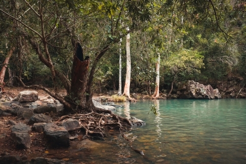 Tranquil fresh water scene at Cedar Creek Falls in the Whitsundays - Australian Stock Image