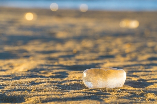 Transparent egg sacs glistening in the sunshine on a sandy beach - Australian Stock Image