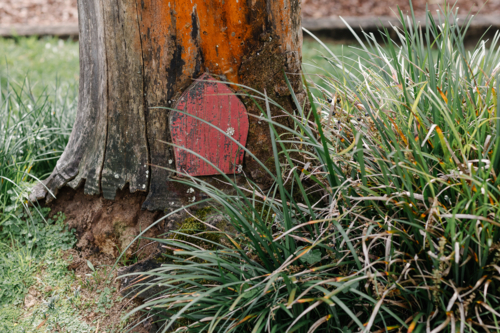 Tree trunk with a small red fairy door behind tall grass - Australian Stock Image