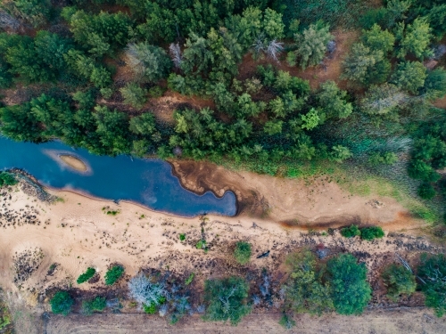 Trees beside pool of stagnant water of creek - Australian Stock Image