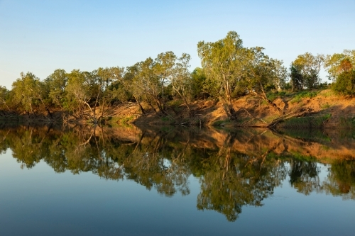 Trees by the river with its shadow reflecting on it. - Australian Stock Image