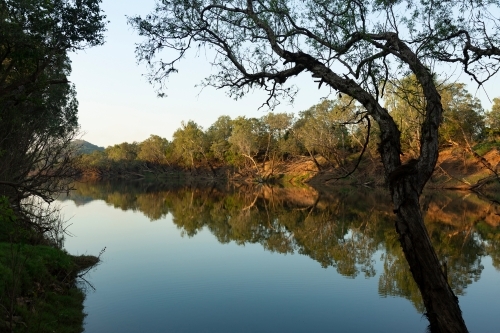 Trees by the river with its shadow reflecting on it. - Australian Stock Image