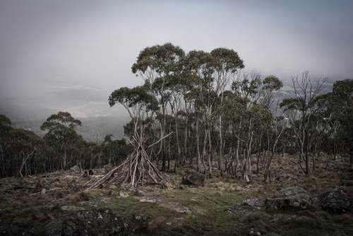 twig teepee in the australian landscape - Australian Stock Image