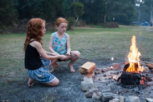 Two girls toasting marshmallows on a campfire - Australian Stock Image