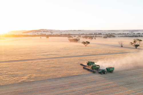 Two headers and chaser bin harvesting at dusk - Australian Stock Image