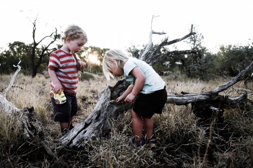 Two kids enjoying bush playtime - Australian Stock Image