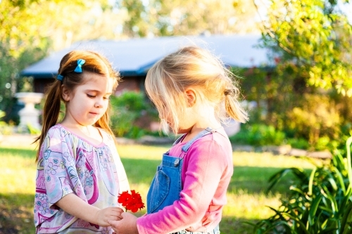 Two little girls in pink playing outside together - Australian Stock Image