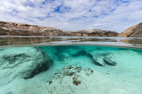 Under-over underwater ocean rock pool scene showing starfish on a pristine, wild coastline - Australian Stock Image