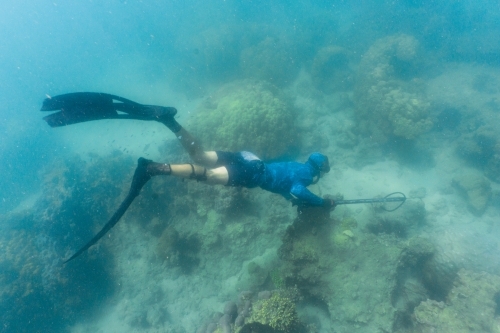 Underwater shot of man with speargun swimming in turquoise ocean with coral bottom - Australian Stock Image