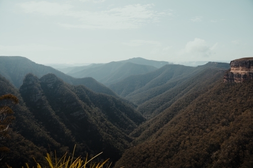 Valley view with mountains at Kanangra Walls Lookout on a sunny day