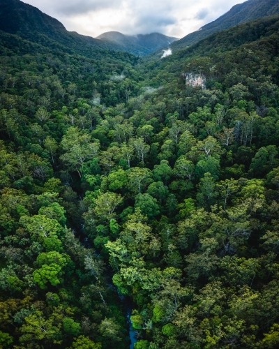 River winding through tropical rainforest - Australian Stock Image