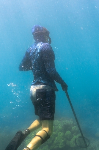 Vertical underwater shot of man with spear gun swimming to surface in turquoise ocean. - Australian Stock Image