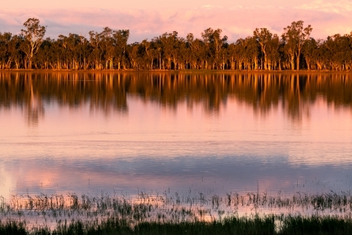 View across lake with pink afternoon light and reflections - Australian Stock Image