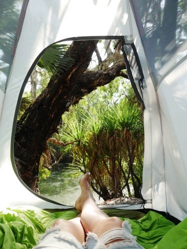 View from camping tent of bushland outside - Australian Stock Image