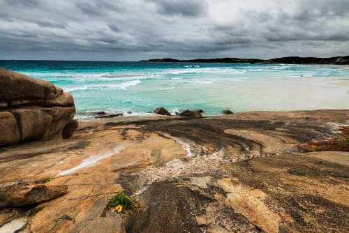 View of beach stormy sky Turquoise ocean with flower growing in colourful rocky foreground - Australian Stock Image