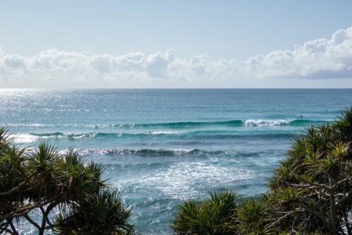 View of ocean waves over pandanas palm - Australian Stock Image
