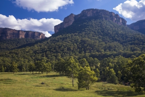 View of sandstone cliffs, paddock and forest in the Blue Mountains - Australian Stock Image