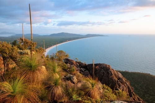 View over a large bay and beach at sunrise with grass trees - Australian Stock Image