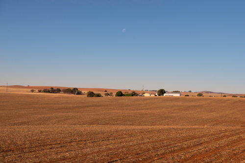 View over dry brown fields, near Clare Valley, South Australia - Australian Stock Image
