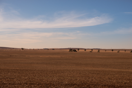 View over dry brown fields, near Clare Valley, South Australia - Australian Stock Image