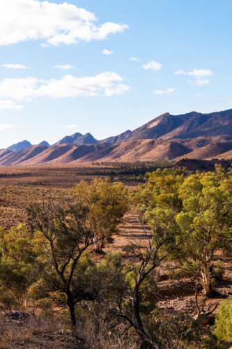 View towards mountain ranges in Flinders Ranges, South Australia - Australian Stock Image
