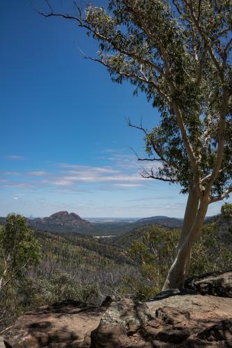 Views over the Warrumbungle National Park - Australian Stock Image