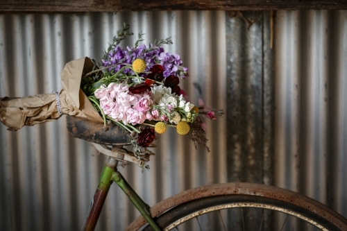 Vintage bike leaning against shed wall with fresh flowers - Australian Stock Image