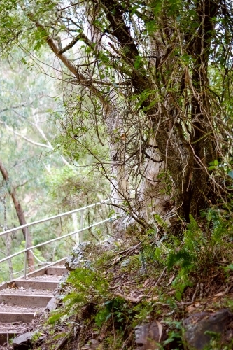 Walking pathways around Jenolan Caves - Australian Stock Image