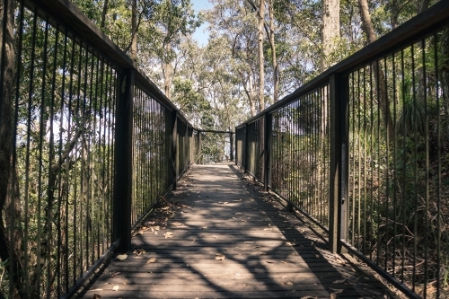 Walkway through the bush - Australian Stock Image
