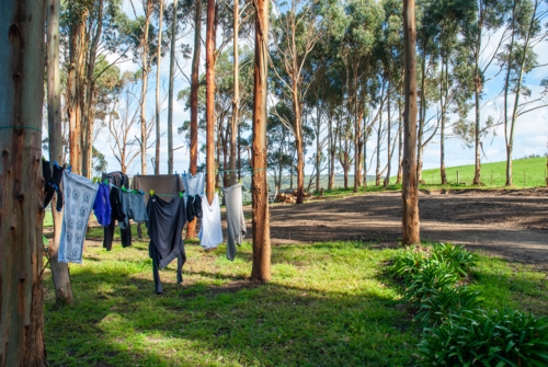 Washing hanging on the line surrounded by gum trees - Australian Stock Image
