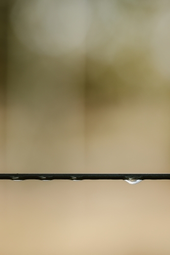 Water droplets on farm wire fence close up after the rain - Australian Stock Image